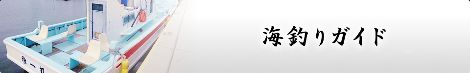 海釣りガイド・ルアー