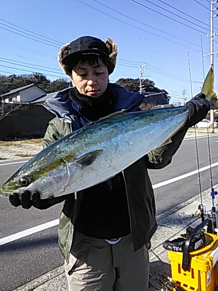 2月2日（土）ブリ、サワラ。画像