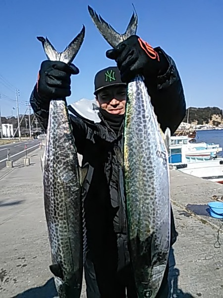 2月2日（土）ブリ、サワラ。画像