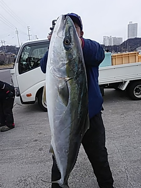 2月3日（日）サワラ、サワラ。画像