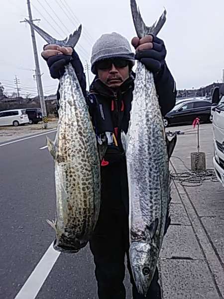 2月3日（日）サワラ、サワラ。画像