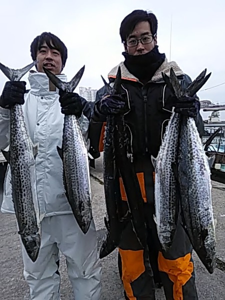 2月3日（日）サワラ、サワラ。画像