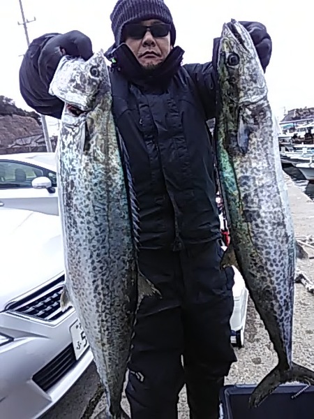 2月9日（土）サワラが帰ってきた。画像