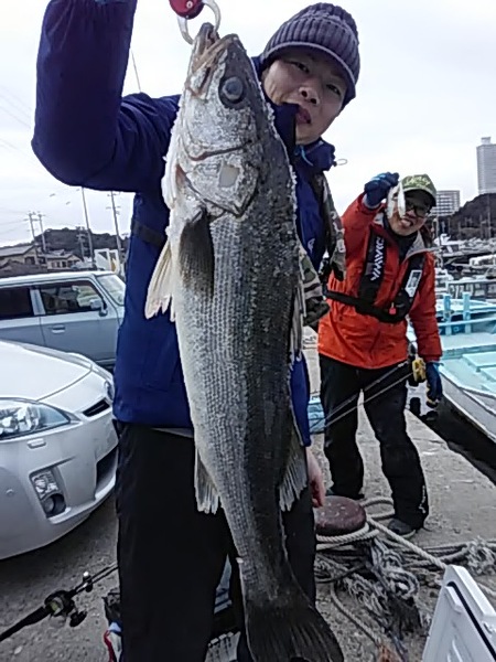 2月9日（土）サワラが帰ってきた。画像