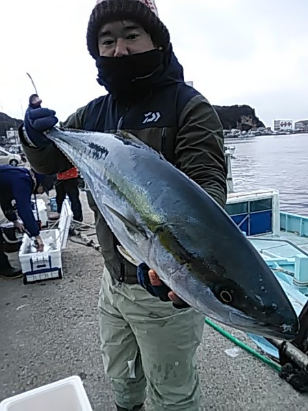 2月9日（土）サワラが帰ってきた。画像