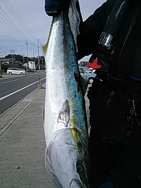 2月10日（日）強風。画像