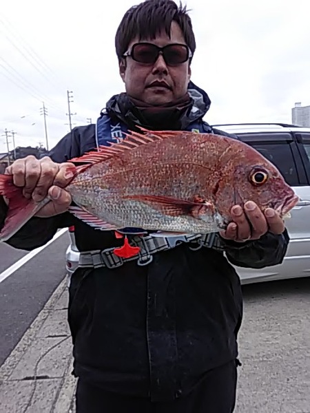 2月11日（月）青物0匹。画像