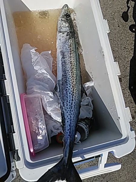 2月13日（水）記録に乗れない。画像