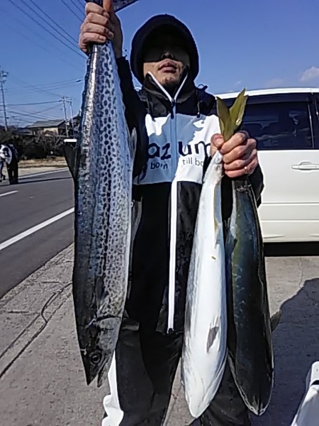 2月17日（日）ワラサ、サワラ。画像