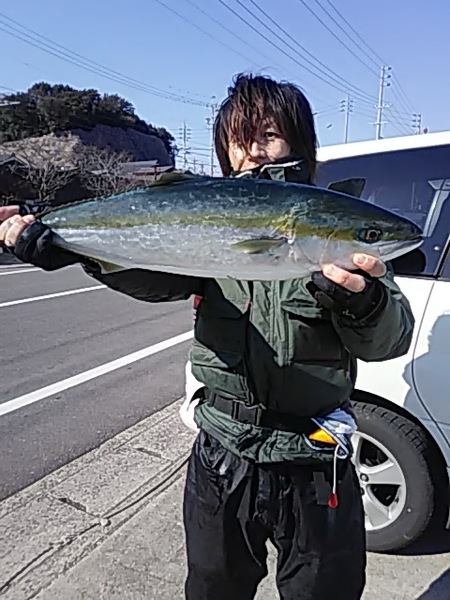 2月17日（日）ワラサ、サワラ。画像