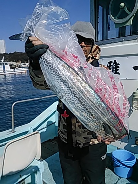 2月25日（月）　ブリ、サワラ、ヒラメ画像