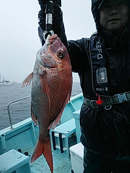 2月28日（木）　マダイ。画像