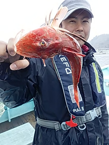 2月28日（木）　マダイ。画像