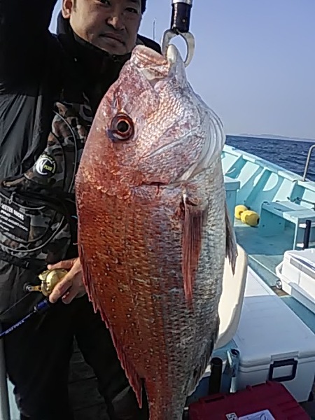 4月6日（土曜日）　マダイ。画像
