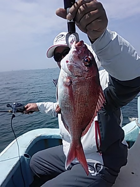 4月22日（月）　マダイ　　ヒラメ画像