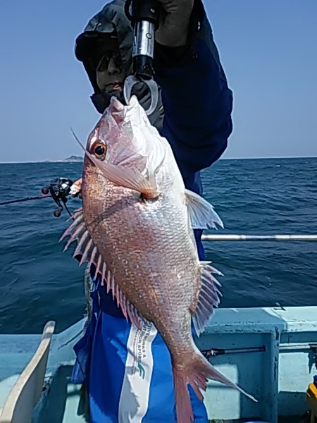 4月6日（土曜日）　マダイ。画像