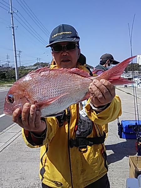 4月20日（土）　マダイ。画像