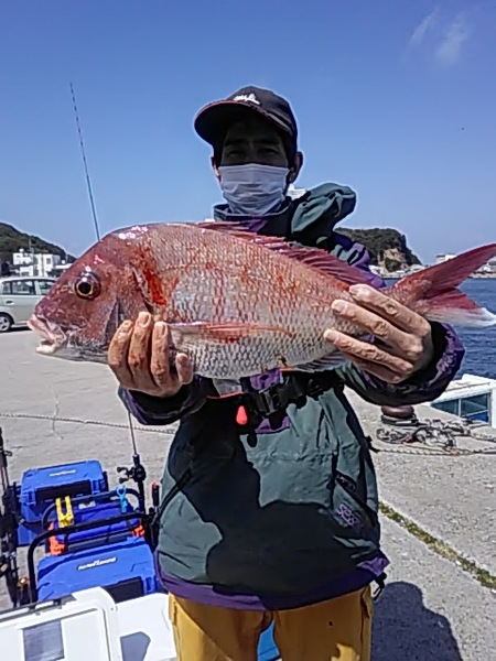 4月20日（土）　マダイ。画像