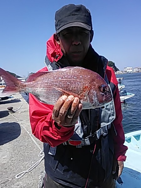 5月2日（火）　ワラサ　サワラ　ヒラメ　マダイ画像