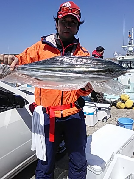 5月2日（火）　ワラサ　サワラ　ヒラメ　マダイ画像