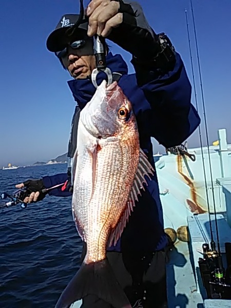 5月4日（土）　　マダイ画像