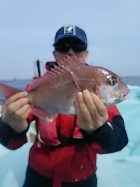 5月5日（日）　マダイ　　アズキマス画像