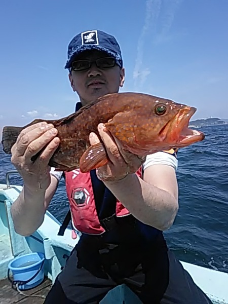 5月5日（日）　マダイ　　アズキマス画像