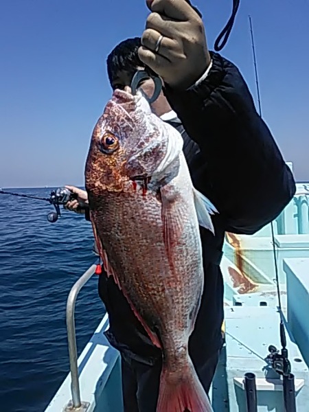 5月11日（土）　　久しぶりのマダイ画像