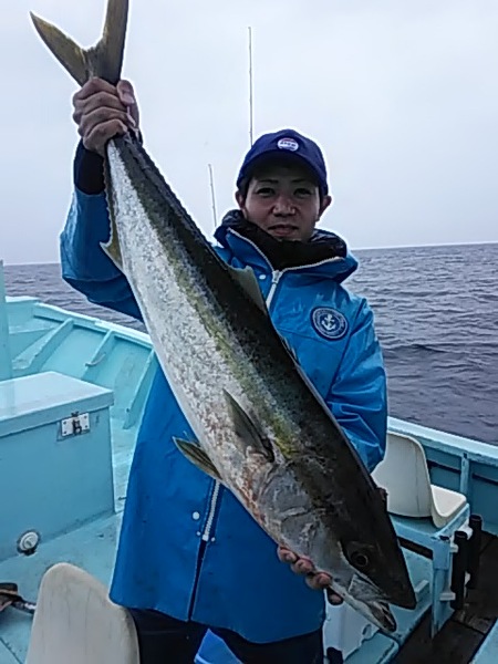 5月28日（火）　見事なブリです。画像