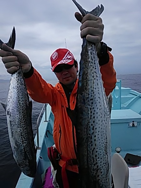 5月31日（金）　本日はサワラとマダイです。画像