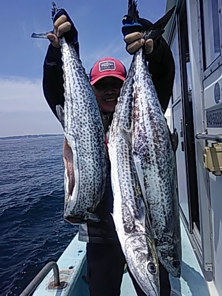 6月1日（土）　　良い型のサワラとマゴチです。画像