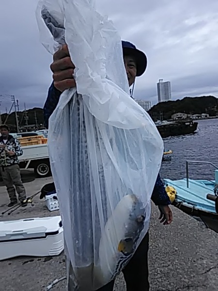 6月9日（日）　　数は伸びません「サワラ」画像