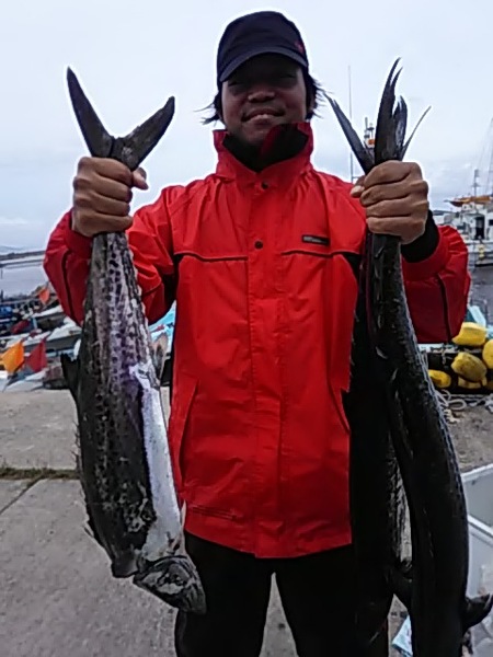 6月14日（金）　　本日も「サワラ」です。画像