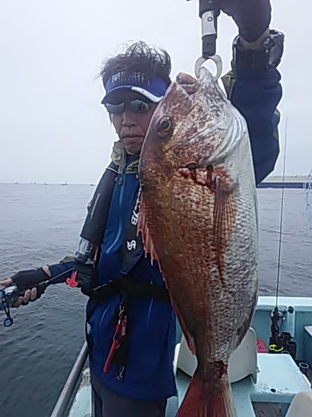 7月7日（日）　本日はマダイ・サワラ・カマス・アジ・サバ画像