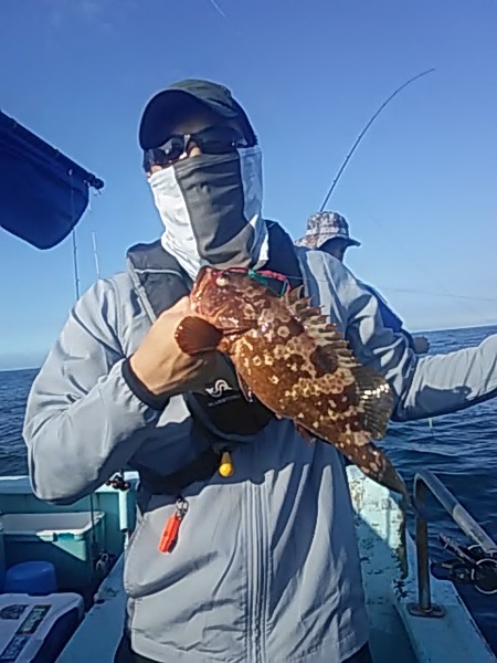 8月11日（日）　マダイ　　ヒラメ　　アズキマス　　カサゴ画像