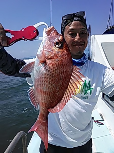 8月17日（土）　喰いが悪い日でした。「マダイ・タチウオ・ホウボウ」画像