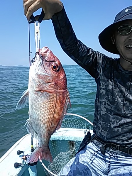 8月17日（土）　喰いが悪い日でした。「マダイ・タチウオ・ホウボウ」画像