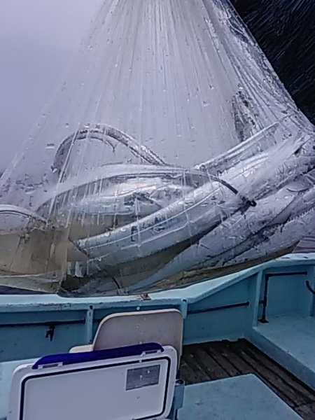 8月28日（水）　タチウオ狙いです。場所伊勢湾画像