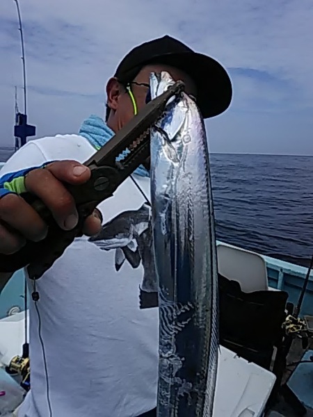 9月1日（日）　久しぶりにブリ・サワラ。もちろんタチウオも画像