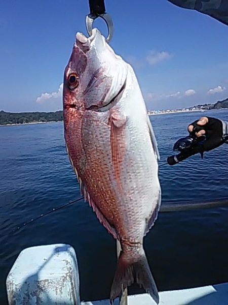 9月3日（火）　　狙いはマダイ画像