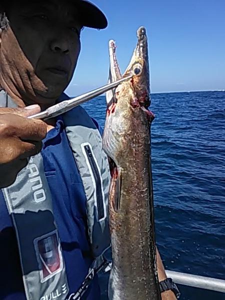 9月15日（日）　タチウオの型◎他にハモ・マダイも画像