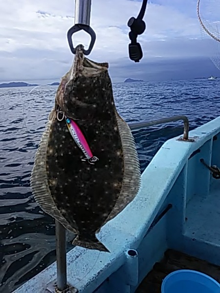 9月29日（水）　　本日は親子でジギング　タチウオ大量です！画像