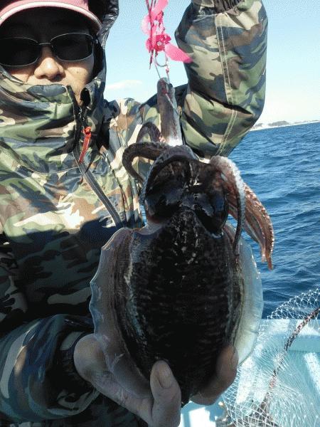 10月14日（月）　近場でマダイとタチウオとヒラメが釣れました。画像