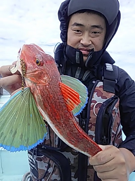 10月20日（日）　本日真鯛みえません。「タチウオ・ホウボウ」画像