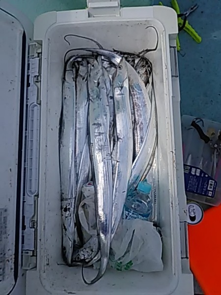 10月27日（日）　狙いは最後までタチウオ　他「ハマチ・マゴチ」画像