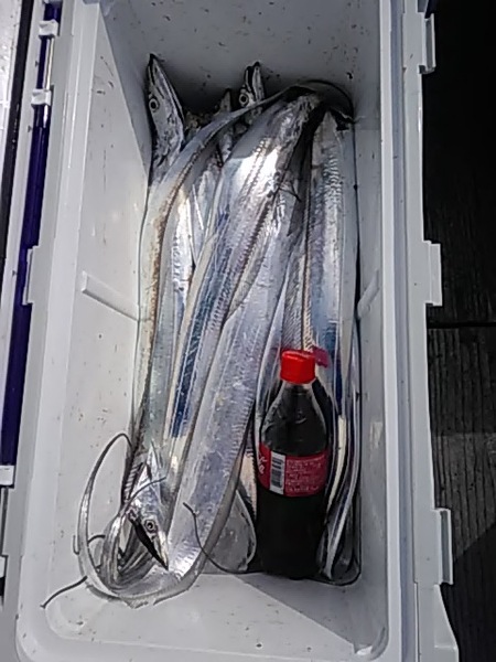 10月27日（日）　狙いは最後までタチウオ　他「ハマチ・マゴチ」画像