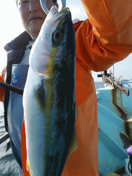 12月14日（土）　あちこち走りました。画像