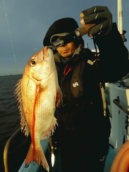 12月15日　　魚は居ると思いますが、画像
