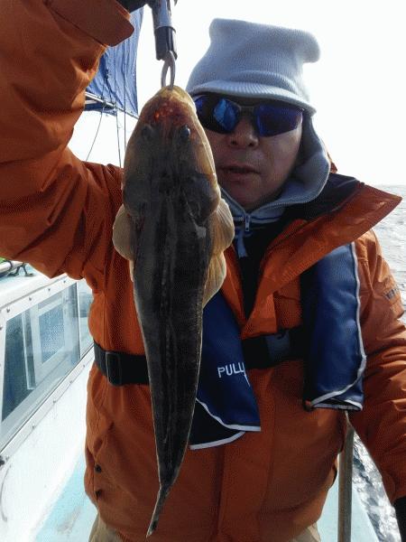 12月15日　　魚は居ると思いますが、画像