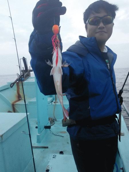 12月18日（水）　　青物不調マダイ狙へ。画像